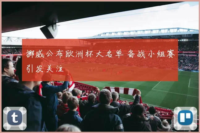 挪威公布欧洲杯大名单 备战小组赛引发关注