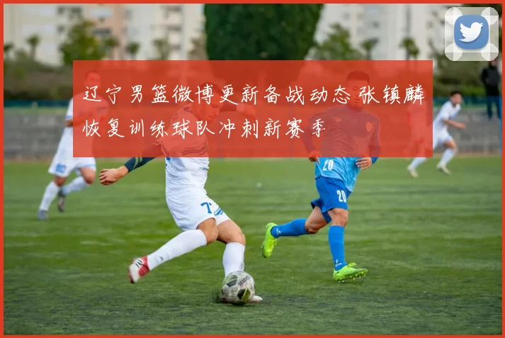 辽宁男篮微博更新备战动态 张镇麟恢复训练球队冲刺新赛季