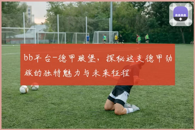 bb平台-德甲狼堡，探秘这支德甲劲旅的独特魅力与未来征程