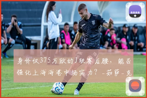 身价仅375万欧的J联赛后腰，能否强化上海海港中场实力？_茹萨_克劳德_维塔尔